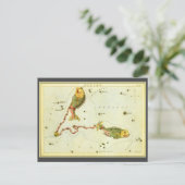 Fische, Vintager Sternbild Urania-Spiegel Postkarte (Stehend Vorderseite)