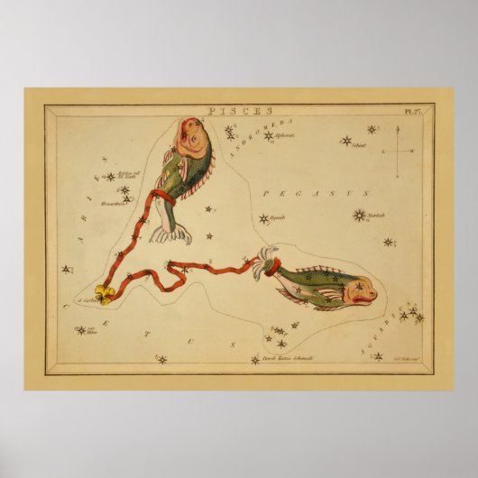 Fische - Vintages Zeichen des Zodiakabbildes Poster (Vorne)