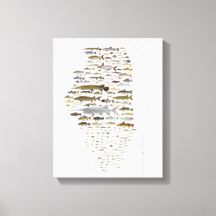 Fische von Illinois Poster Leinwanddruck