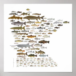 Fische von Minnesota Poster