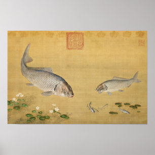 Fische & Wasserpflanzen von Giuseppe Castiglione Poster
