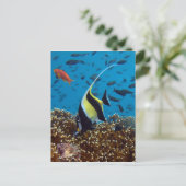 Fische Wassertiere Postkarte (Stehend Vorderseite)