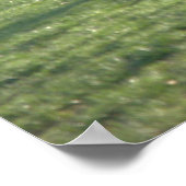 Fischen am Teich Poster (Ecke)