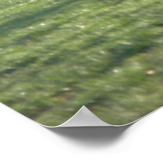 Fischen am Teich Poster (Ecke)