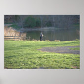 Fischen am Teich Poster (Vorne)