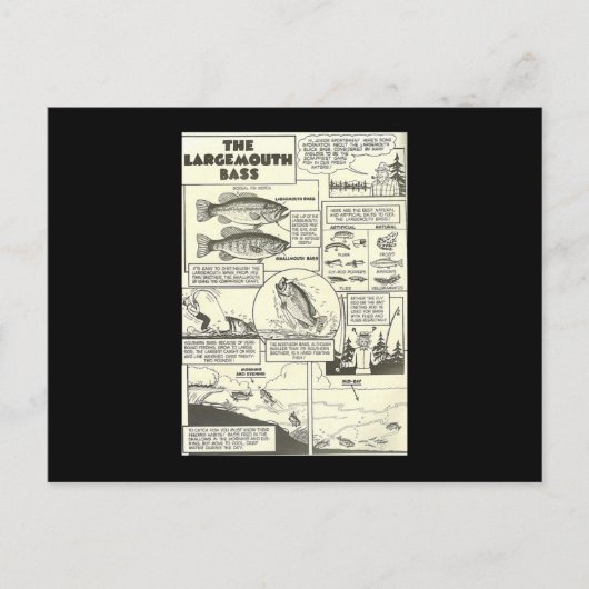 Fischen Comic Buchtipps Bass Bajonett Niedlich Postkarte (Vorderseite)