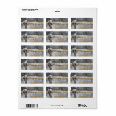 Fischen des Flussuebergangslabels Adressaufkleber (Vorne)