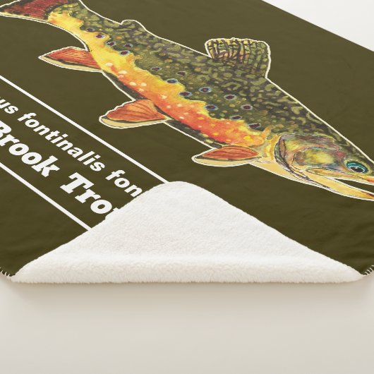 Fischen für Brookie - Bachforelle Fischer Sherpadecke (3/4)