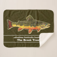 Fischen für Brookie - Bachforelle Fischer