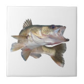 Fischen-Hornhautflecke Fliese (Vorderseite)