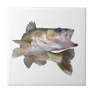 Fischen-Hornhautflecke Fliese