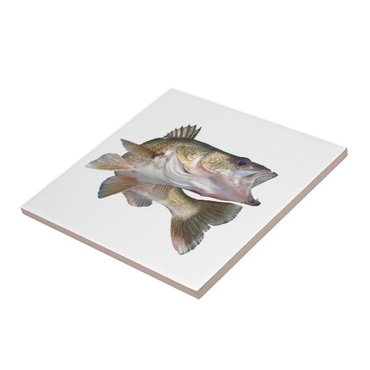 Fischen-Hornhautflecke Fliese (Seite)