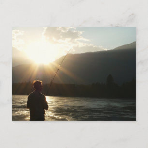 Fischen im Sonnenlicht Postkarte