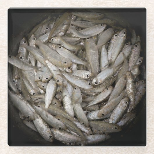 Fischen in einem Eimer Glasuntersetzer (Vorderseite)