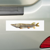 Fischen Pikes Muski Autoaufkleber (Auf Auto)