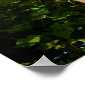 Fischer am Totem Pole, Alaska Poster (Ecke)