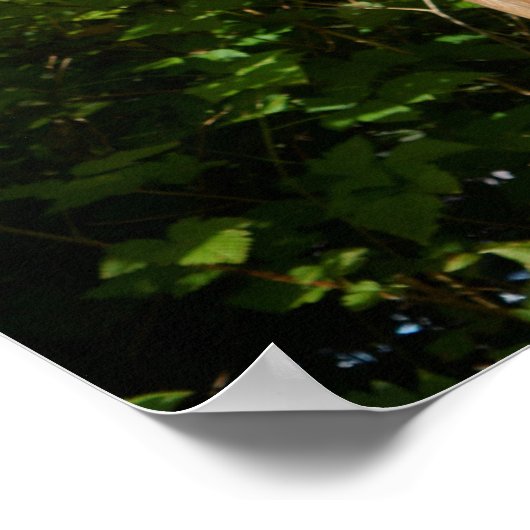 Fischer am Totem Pole, Alaska Poster (Ecke)