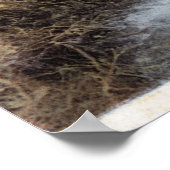 Fischer, die an der Commonwealth-Creek fischen Poster (Ecke)