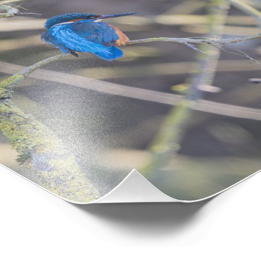 Fischer Fotodruck (Ecke)