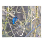 Fischer Fotodruck (Vorne)