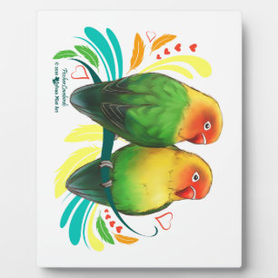 Fischer Lovebirds Fotoplatte