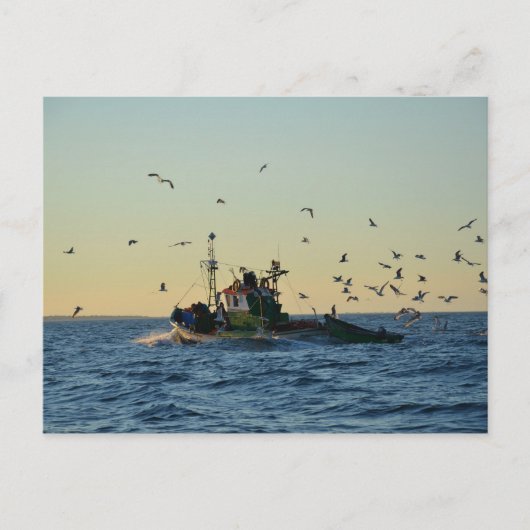 Fischerboot und Möwen. Postkarte (Vorderseite)