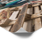 Fischerboote im Hafen von Castellammare del Golfo Poster (Ecke)