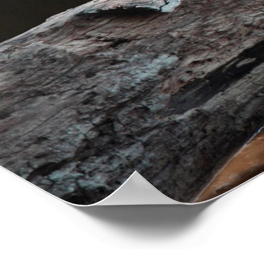 Fischerei auf Katfische Poster (Ecke)