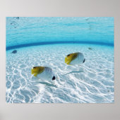 Fischerei auf See Poster (Vorne)