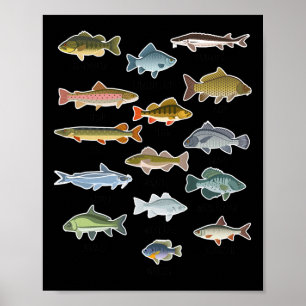 Fischerei auf Süßwasserfische Poster