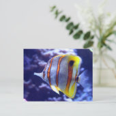 FISCHEREI DER FISCHPOSTKARTE POSTKARTE (Stehend Vorderseite)