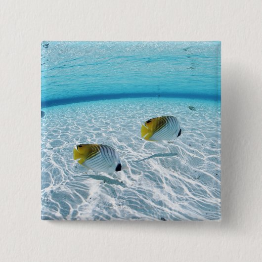 Fischerei im Meer 2 Button (Vorderseite)