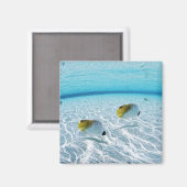 Fischerei im Meer 2 Magnet (Vorderseite/Rückseite)