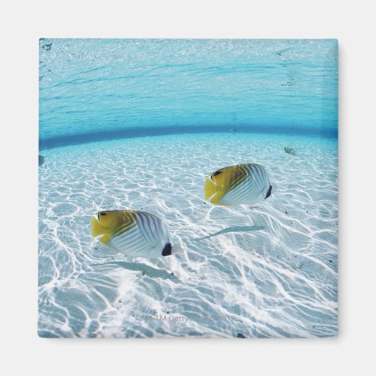 Fischerei im Meer 2 Magnet (Vorne)