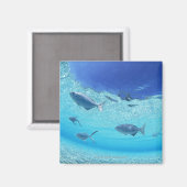 Fischerei im Meer 4 Magnet (Vorderseite/Rückseite)