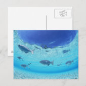 Fischerei im Meer 4 Postkarte (Vorne/Hinten)