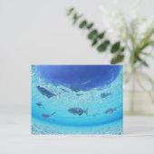 Fischerei im Meer 4 Postkarte (Stehend Vorderseite)