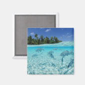 Fischerei im Meer Magnet (Vorderseite/Rückseite)