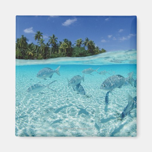 Fischerei im Meer Magnet (Vorne)
