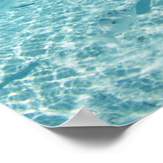 Fischerei im Meer Poster (Ecke)