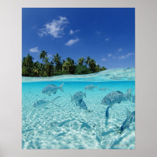 Fischerei im Meer Poster