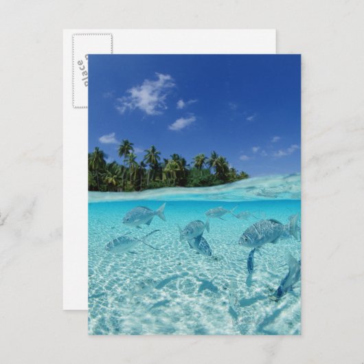 Fischerei im Meer Postkarte (Vorne/Hinten)