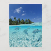 Fischerei im Meer Postkarte (Vorderseite)