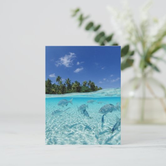 Fischerei im Meer Postkarte (Stehend Vorderseite)