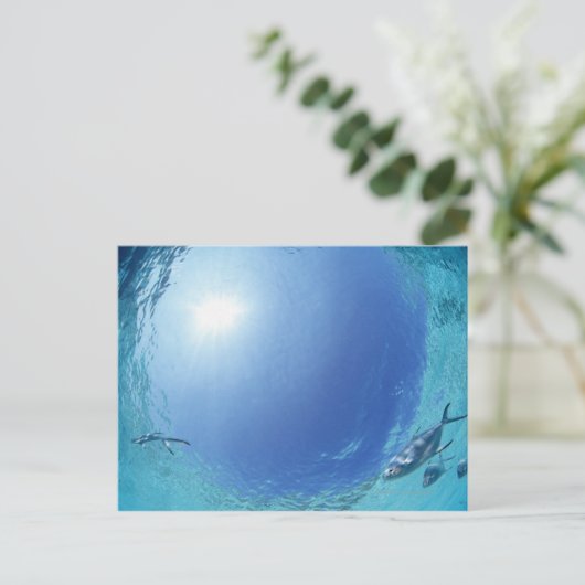 Fischerei im Meer Postkarte (Stehend Vorderseite)