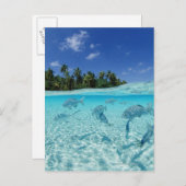 Fischerei im Meer Postkarte (Vorne/Hinten)