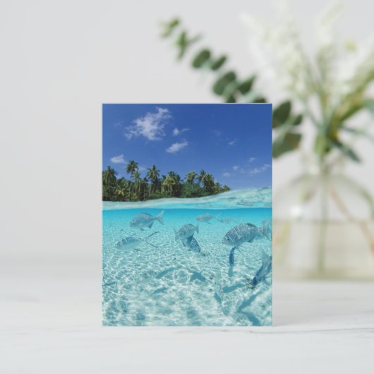 Fischerei im Meer Postkarte (Stehend Vorderseite)