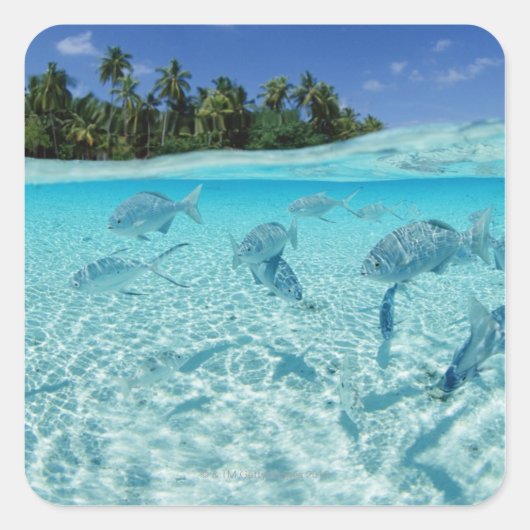 Fischerei im Meer Quadratischer Aufkleber (Vorderseite)