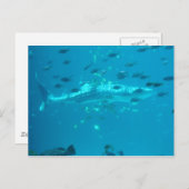 Fischerei Postkarte (Vorne/Hinten)