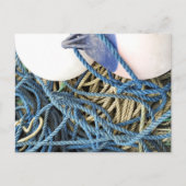 FISCHEREI POSTKARTE (Vorderseite)